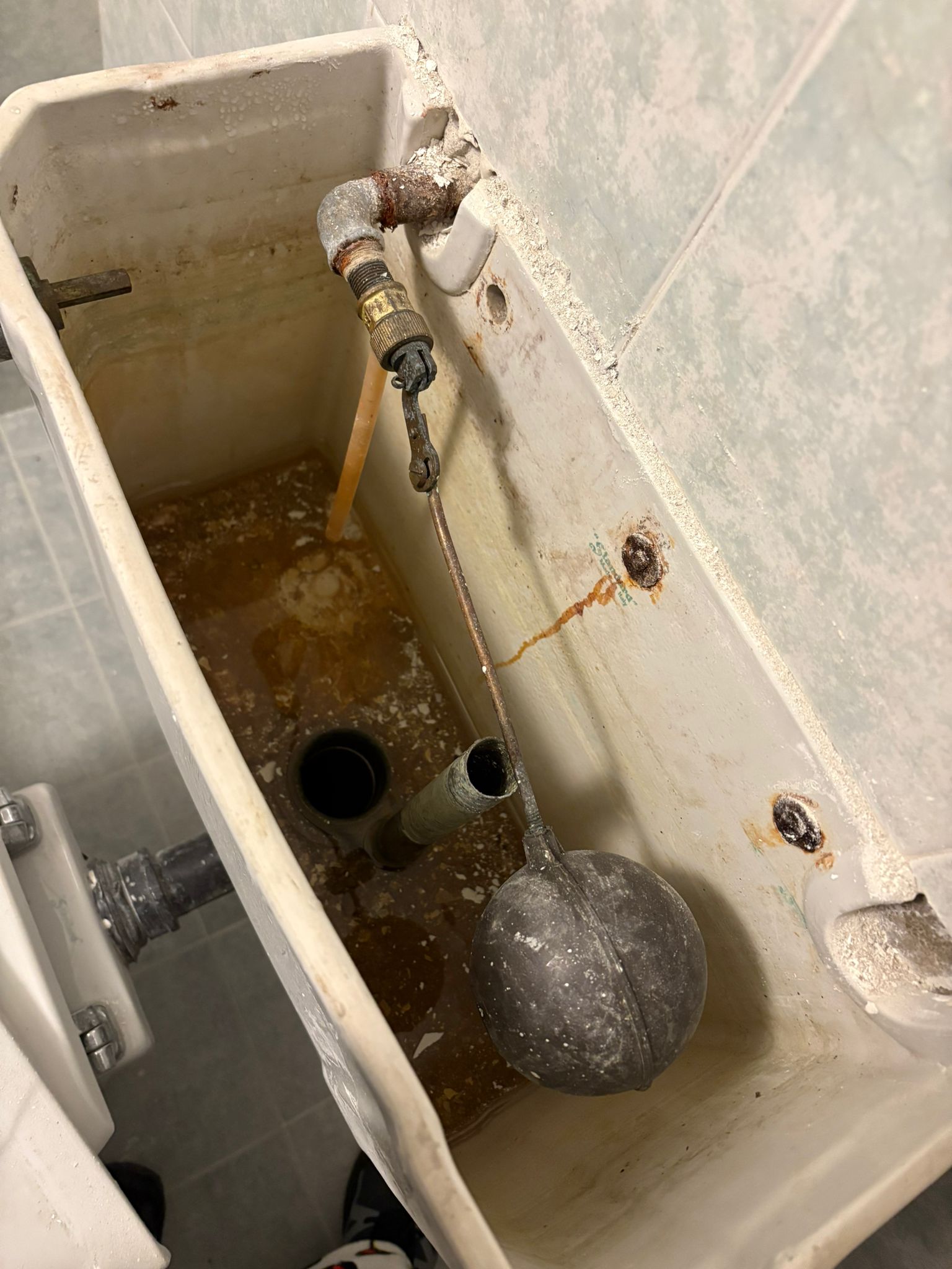 WhatsApp Image 2025-12-07 at 17.41.02 (5)-min.jpeg