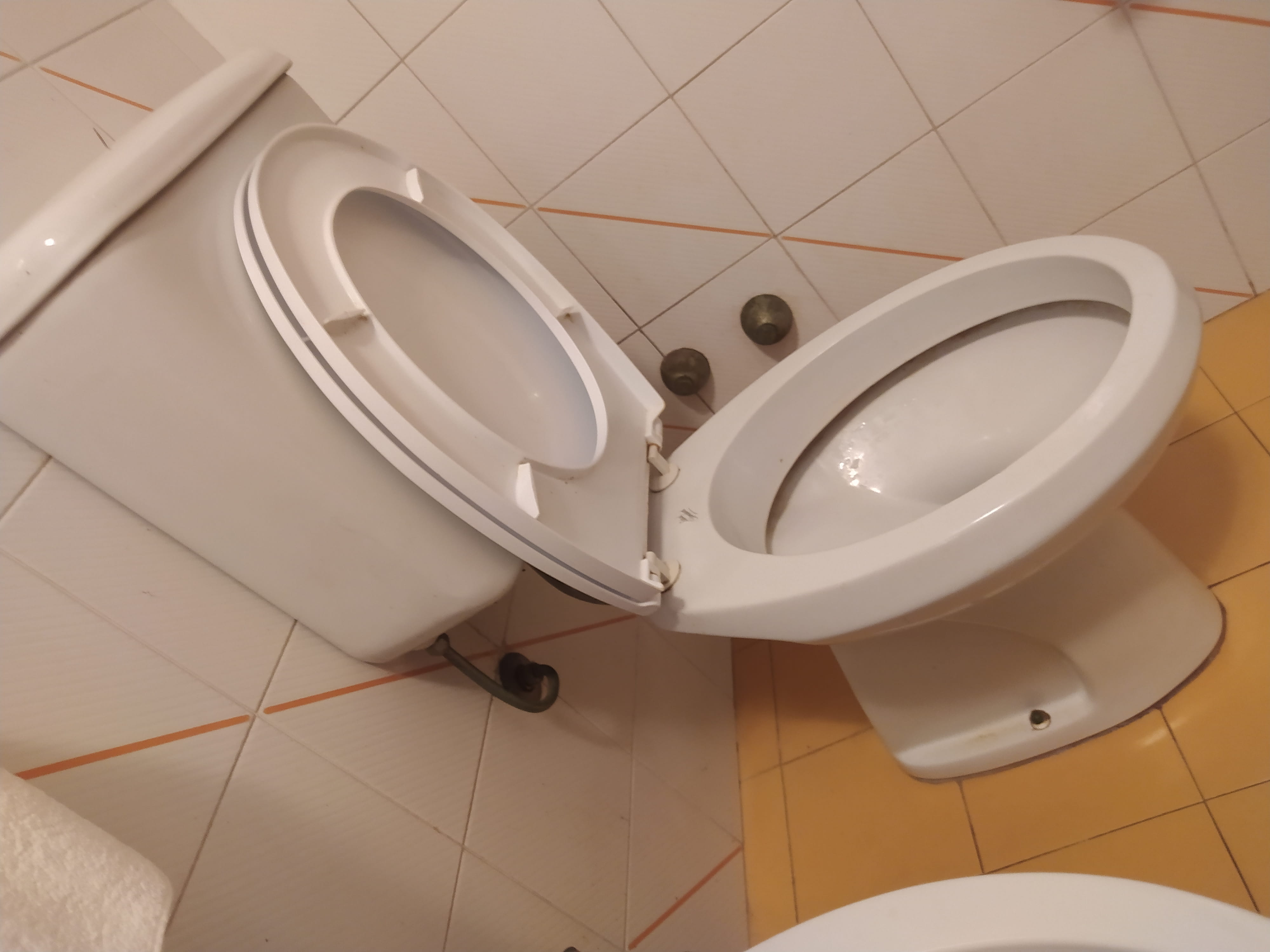 foto wc1.jpg