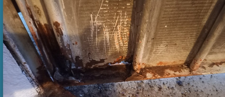 Immagine 2026-04-15 220545.jpg