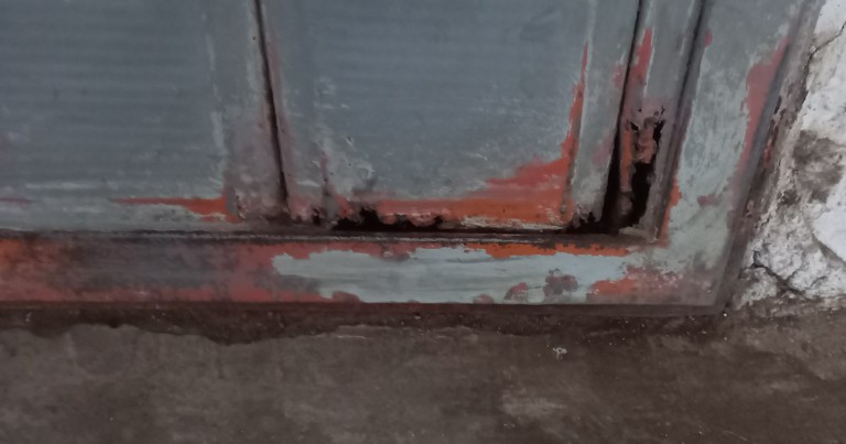 Immagine 2026-04-15 220603.jpg