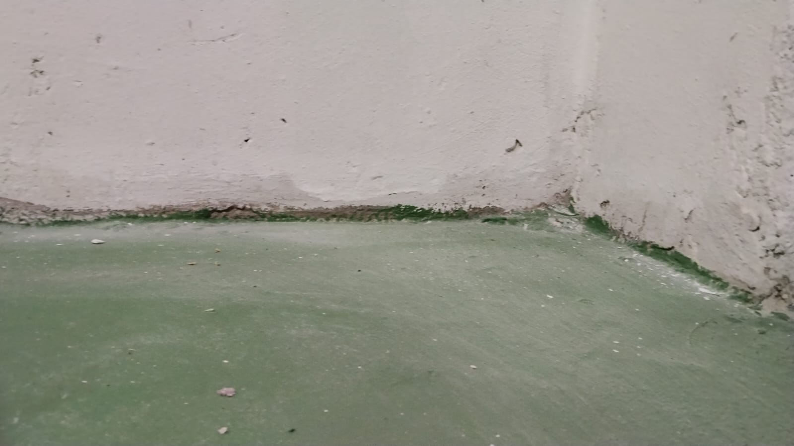 WhatsApp Image 2026-04-17 at 15.48.30 (1).jpeg