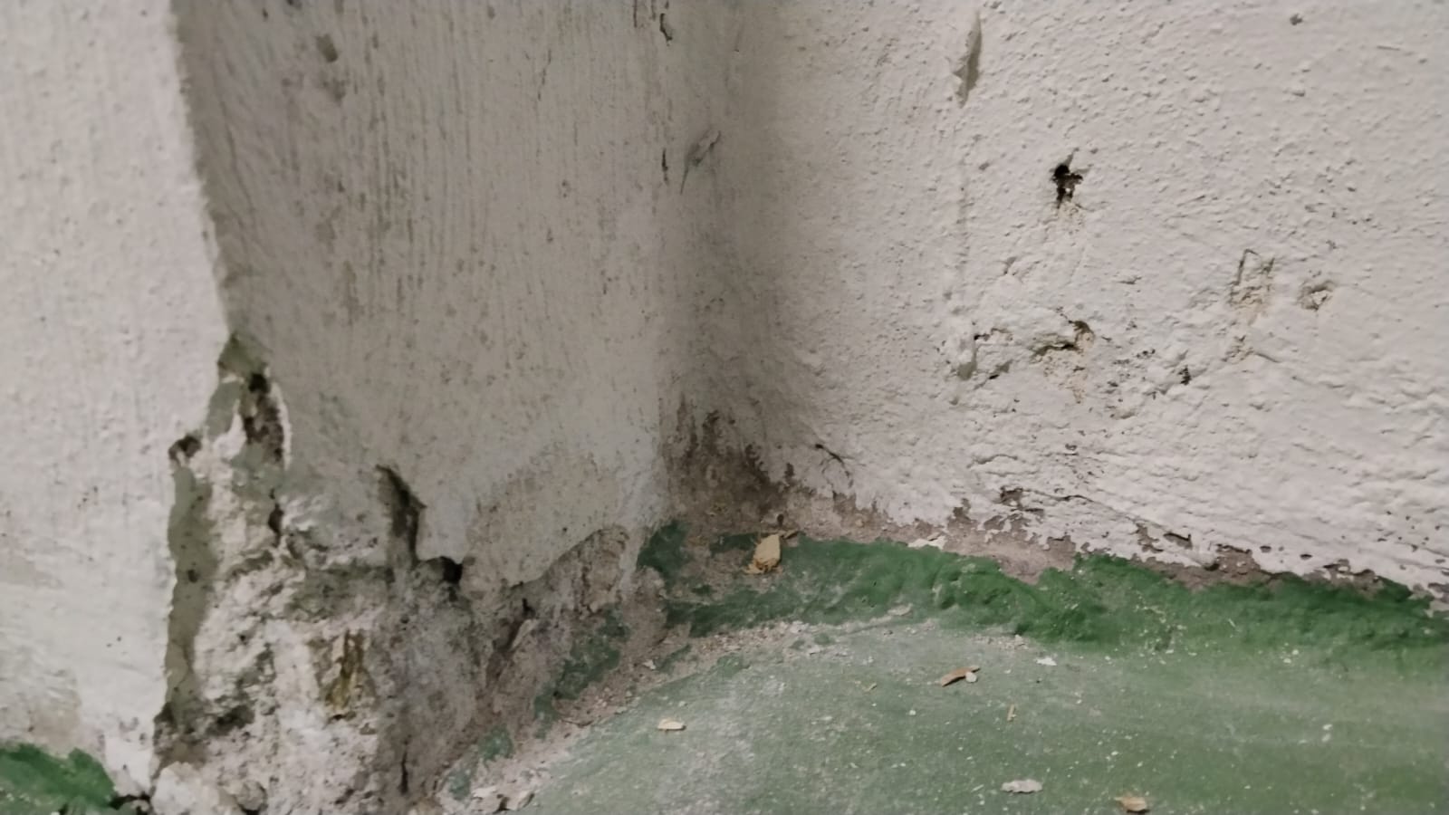 WhatsApp Image 2026-04-17 at 15.48.30 (2).jpeg