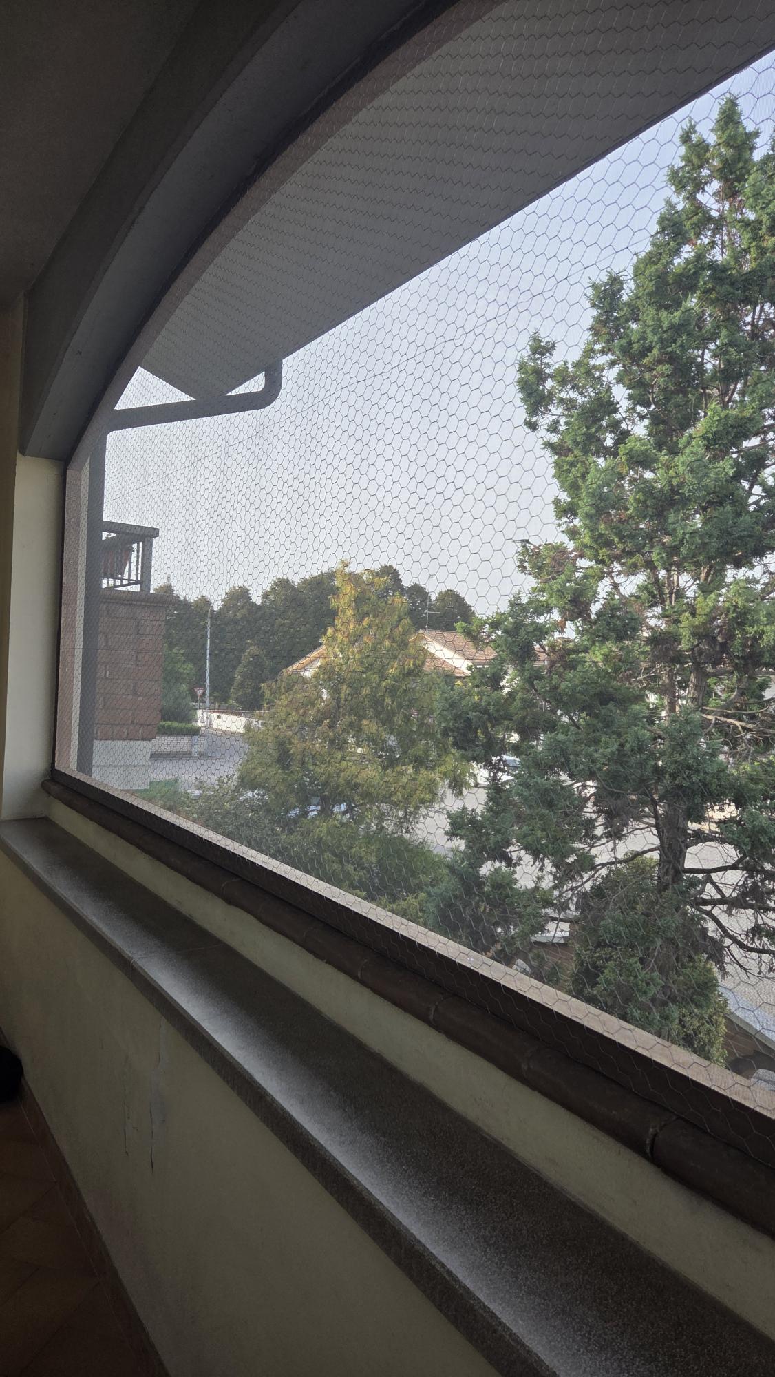 shared image (4).jpeg