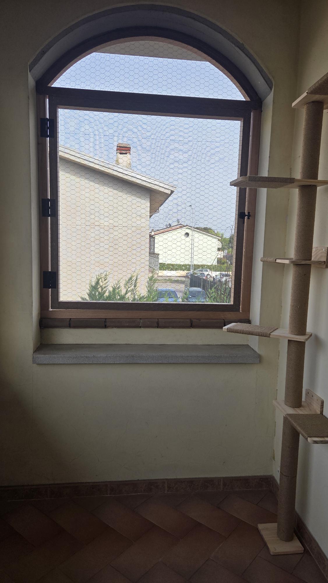 shared image (6).jpeg