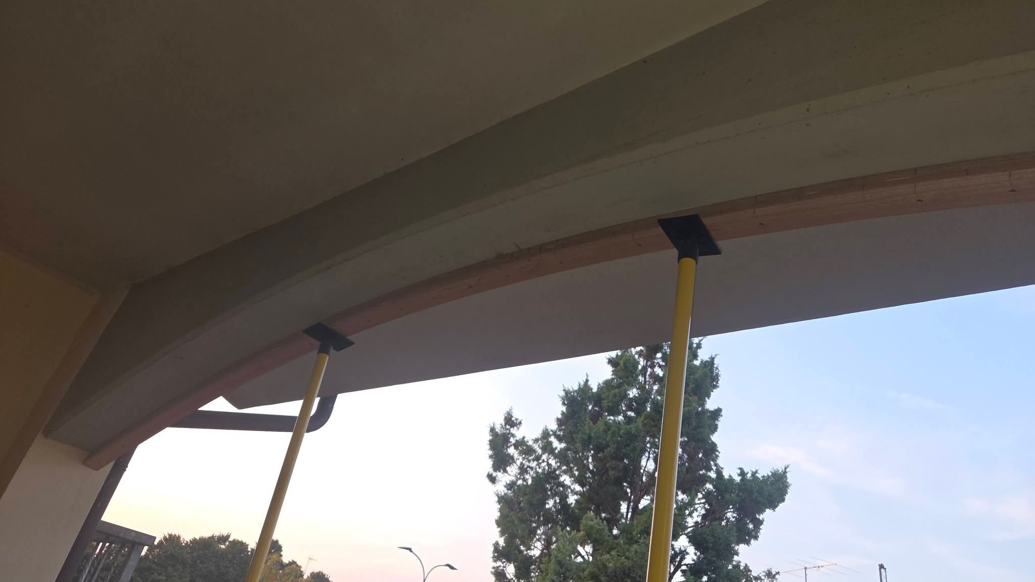 shared image (15).jpeg
