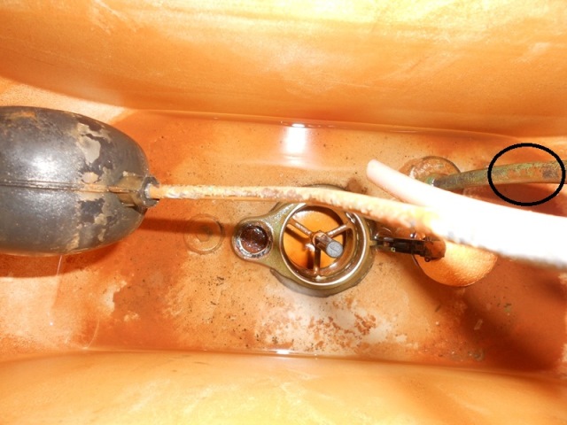 v68628d.jpg