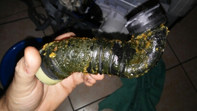 20151111_183145 (1).jpg