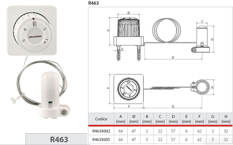 r463.JPG