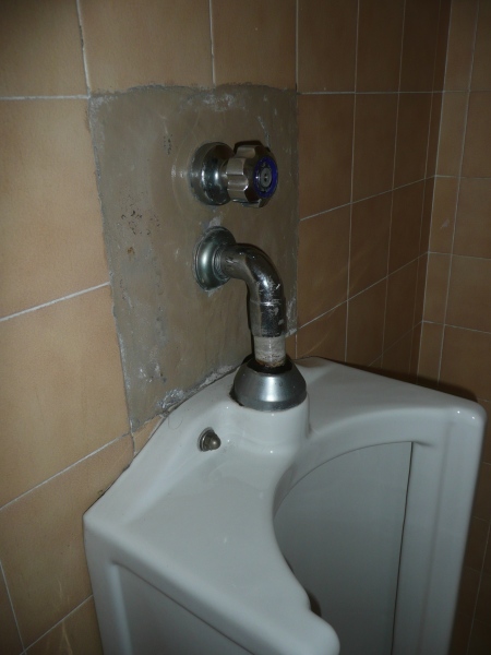 94.jpg