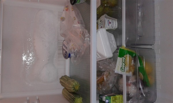 20160728_084634 (600 x 360).jpg