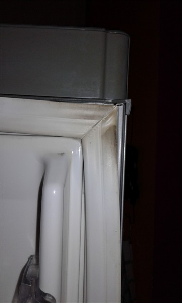 appoggio foto 180 (360 x 600).jpg