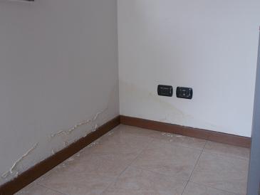 RSCN5492.JPG