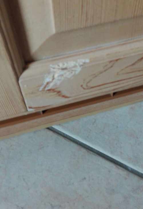 Scusate lo sfocato ma avevo un diavolo per capello...