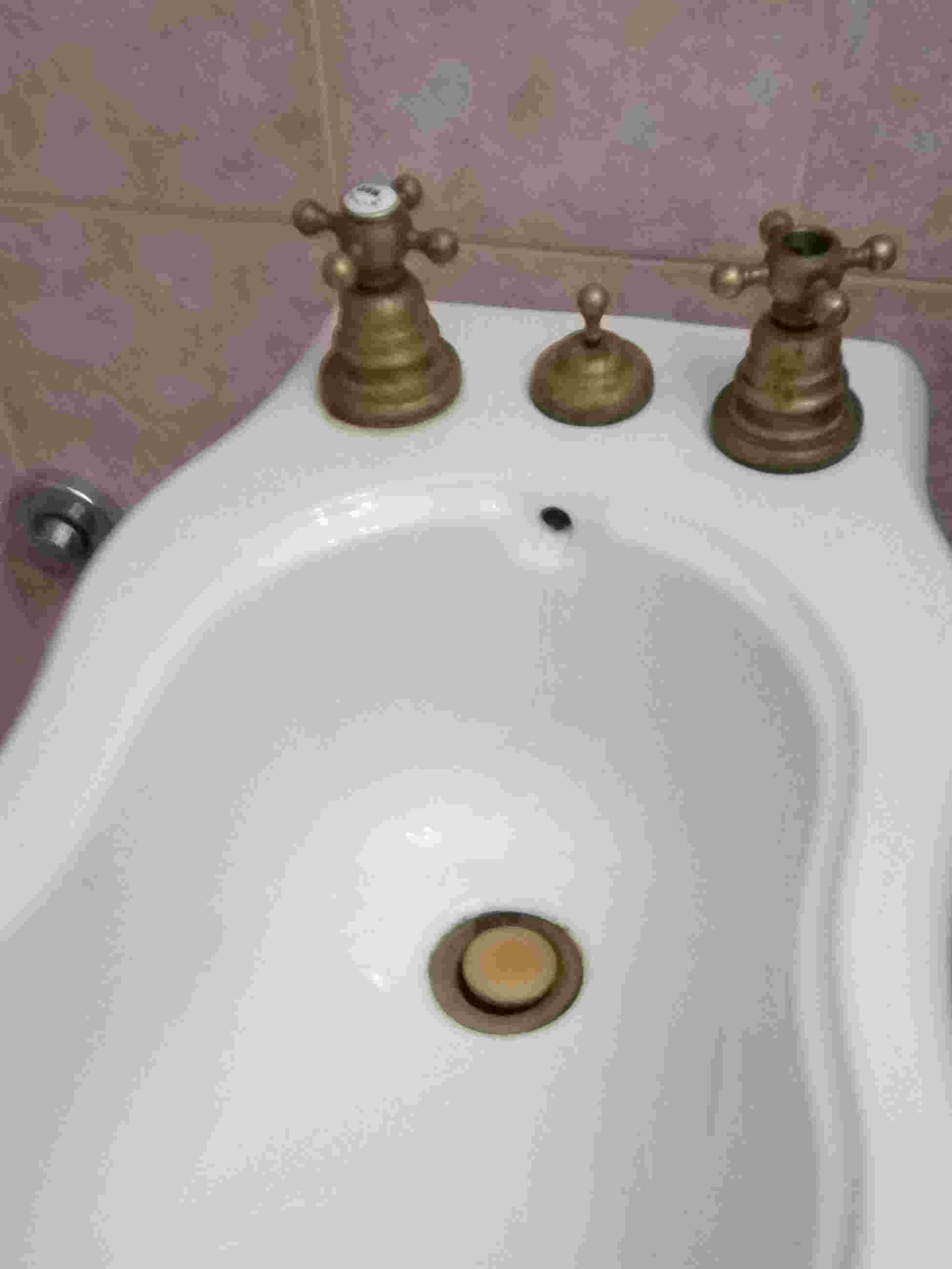 bidet