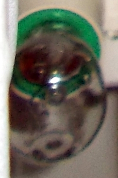 lampadina frigo integra DSCN3175_2.JPG