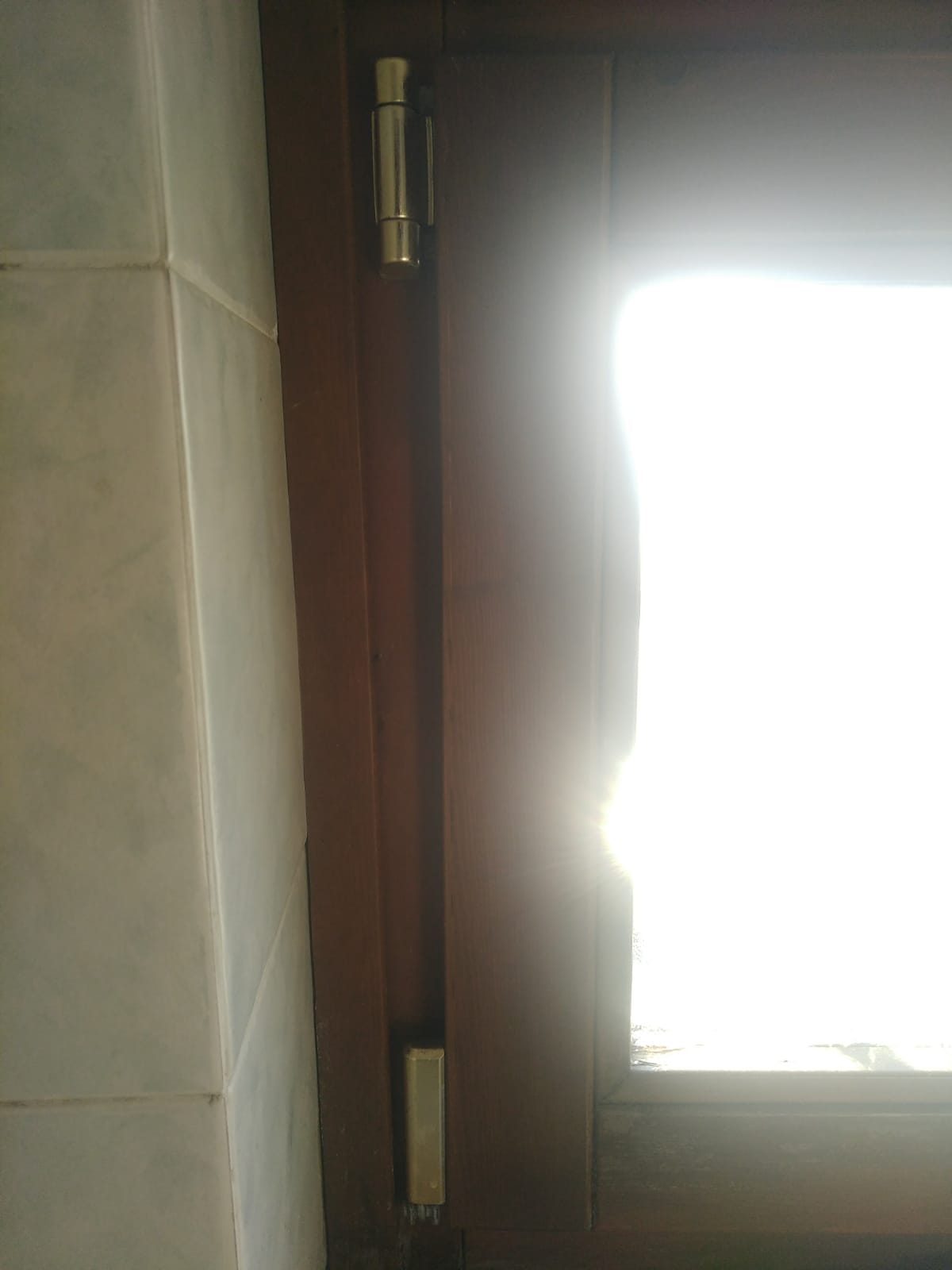 WhatsApp Image 2020-01-14 at 16.09.46.jpeg