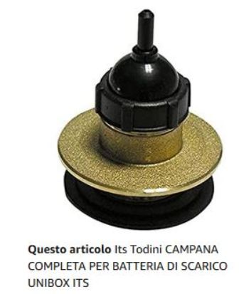 campana.JPG