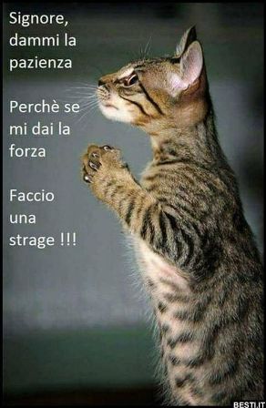 pazienza.jpg