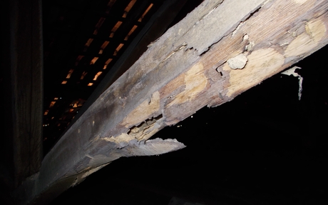 Sottotetto travi DSCN3681_2.JPG