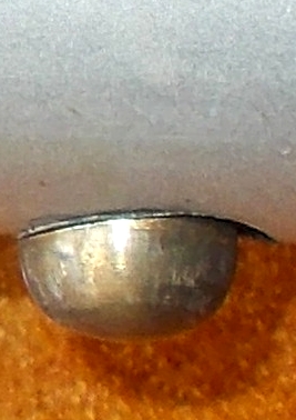 deambulatore DSCN3707_2.JPG