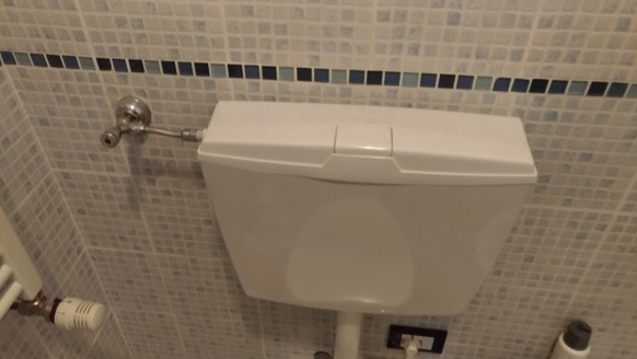 foto11.jpg