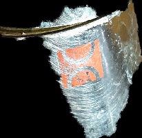 20200614_123044_resize_75.jpg