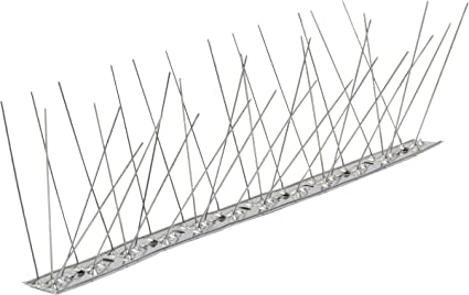 piccioni dissuasore.jpg