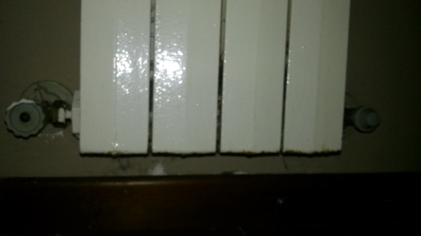 20201114_125201 (Small).jpg