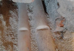 Screenshot_20201203-121003~2.png