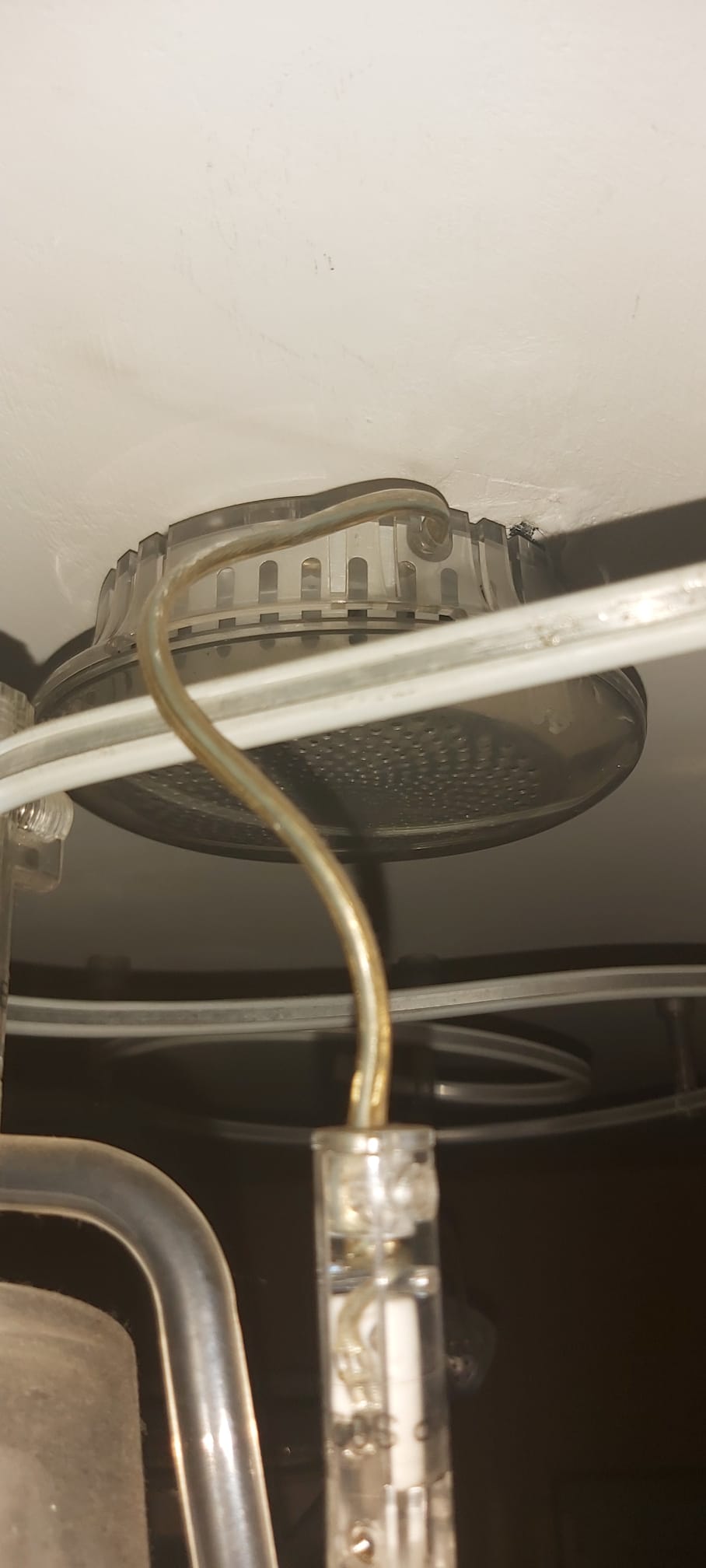 WhatsApp Image 2020-12-09 at 14.26.58 (5).jpeg