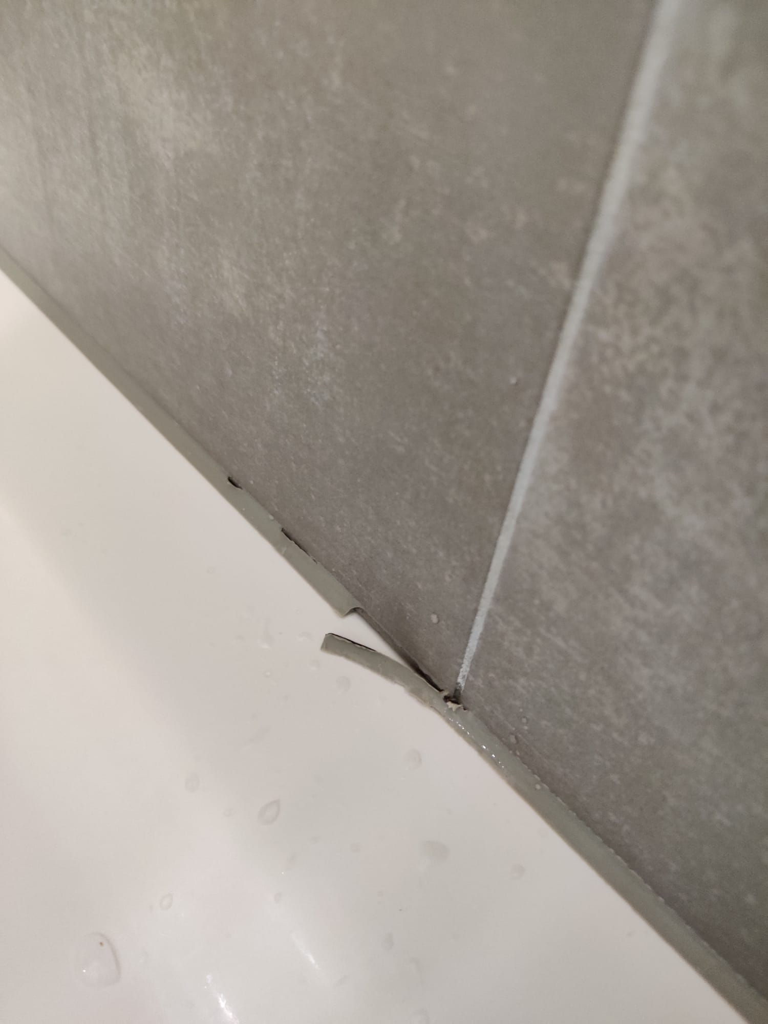 WhatsApp Image 2021-02-24 at 20.38.10.jpeg