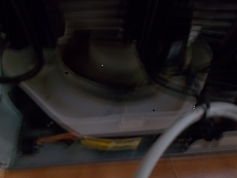 DSCN6485.jpg