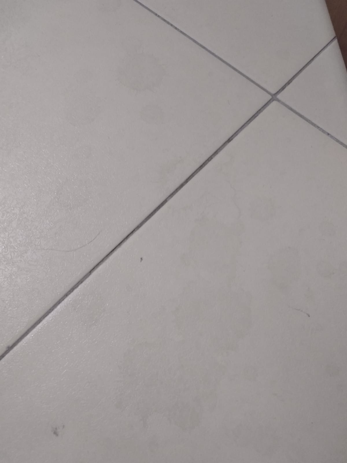 WhatsApp Image 2021-04-17 at 09.36.42.jpeg