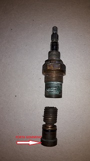 VITONE SMONTATO 1.jpg