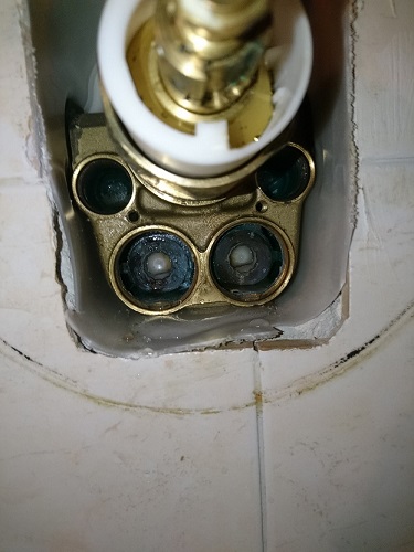 DSC_0310.JPG