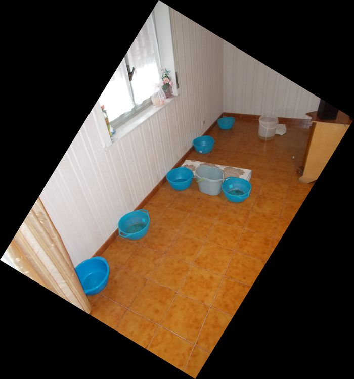 salotto ottobre 2021 DSCN4849_2.JPG