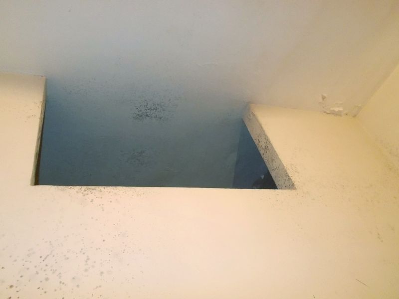 finestra ripostoglio 50x90x10 DSCN4952_2.JPG