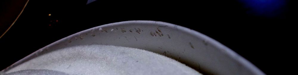 cofanetto interno rovinato DSCN5745_2.JPG