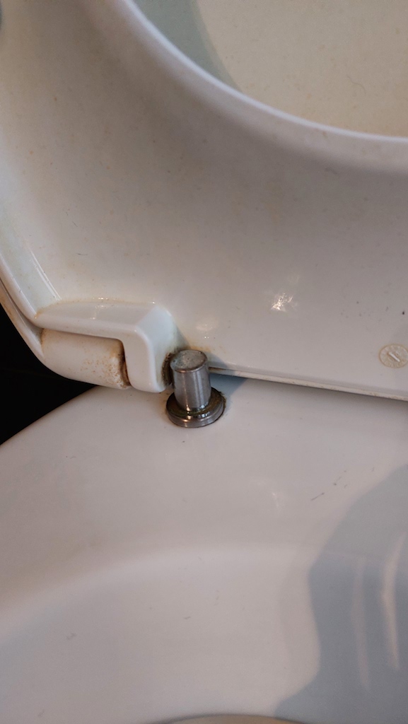 foto 2.jpg