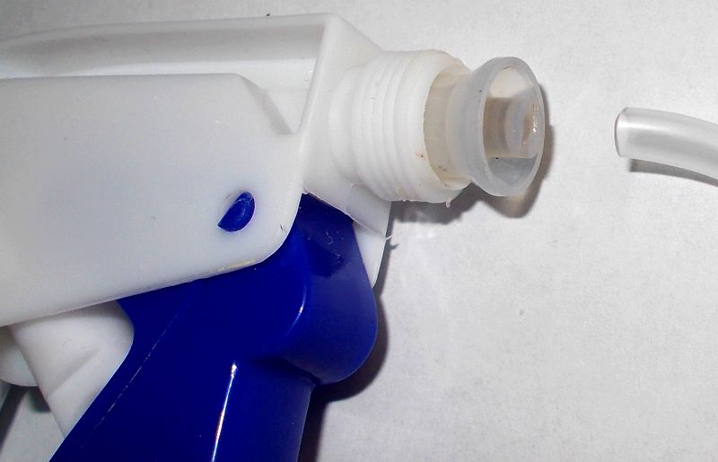 spruzzino DSCN6392_2.JPG