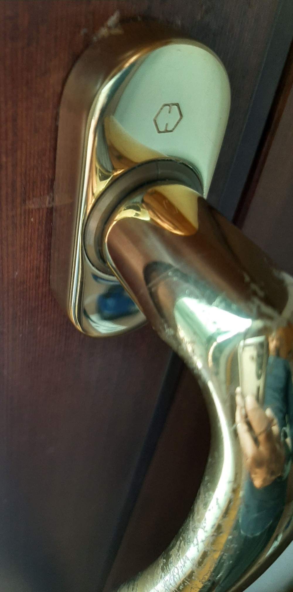 20230408_162902 (1).jpg