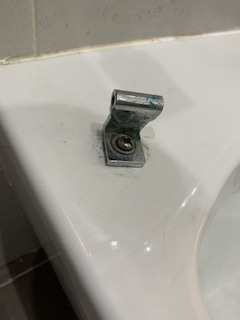 IMG_3784.jpeg