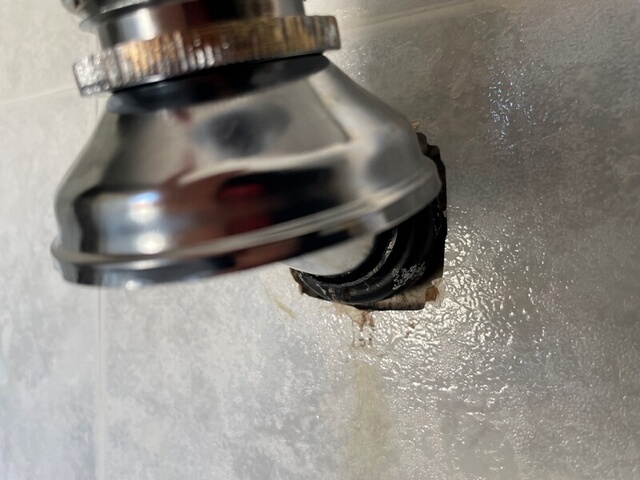 Foto 06-10-23, 13 14 51_Ridimensionato.jpg