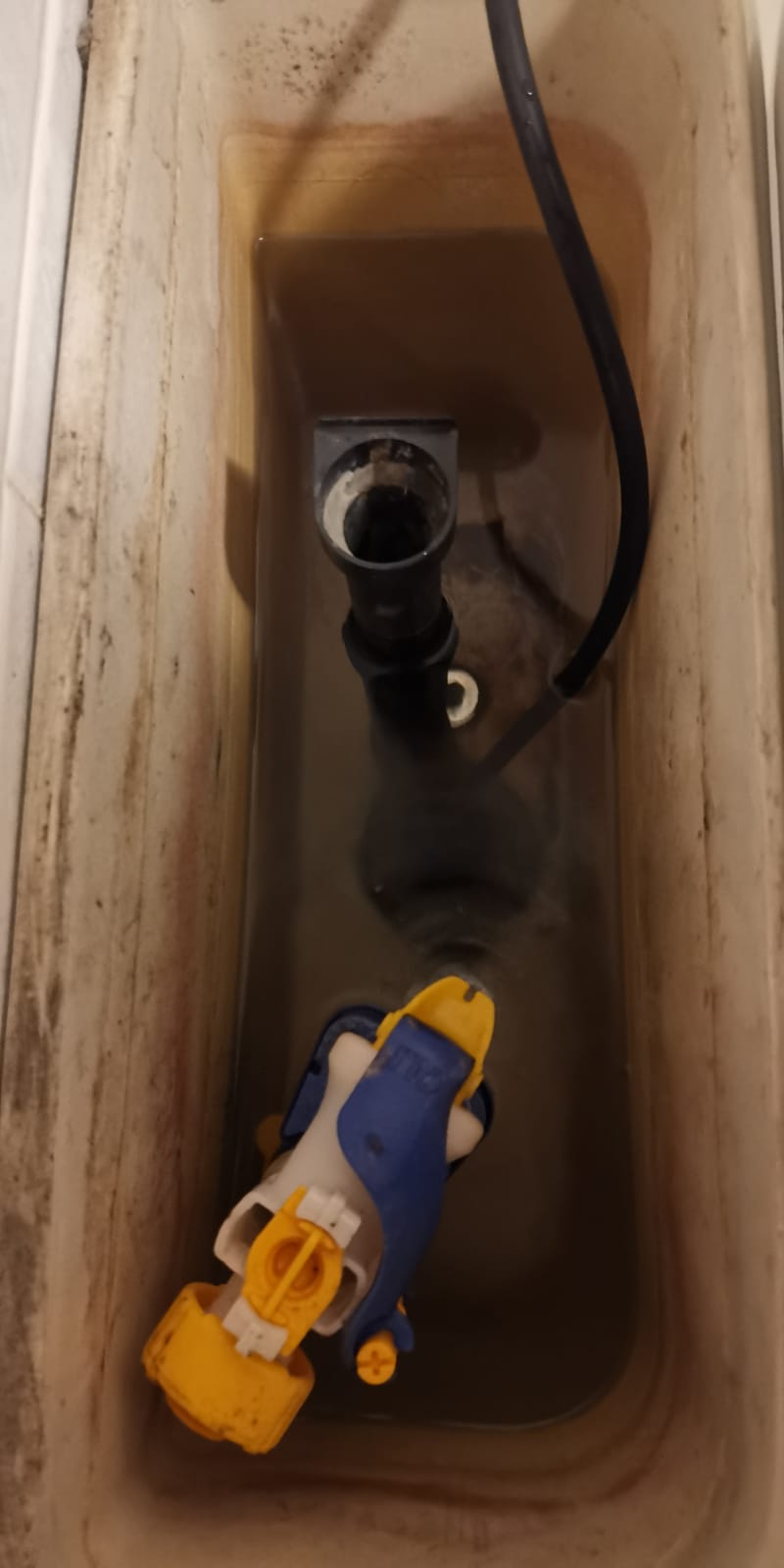 WhatsApp Image 2024-03-21 at 16.59.52.jpeg