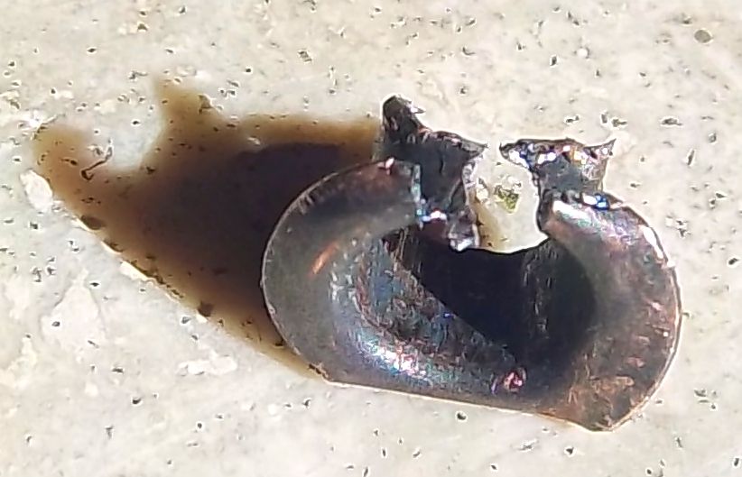 occhiello nuovo 103_0071_2.JPG