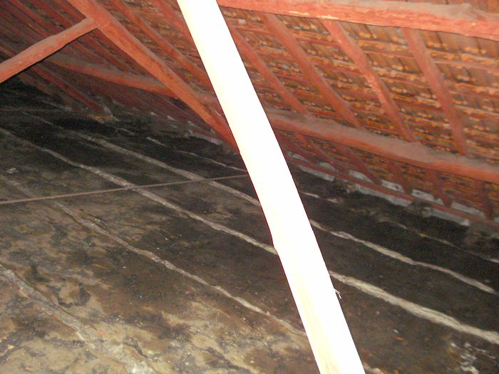 sottotetto infiltrazioni 19.10.24 lato interno sopra cucina DSC00361_2.JPG