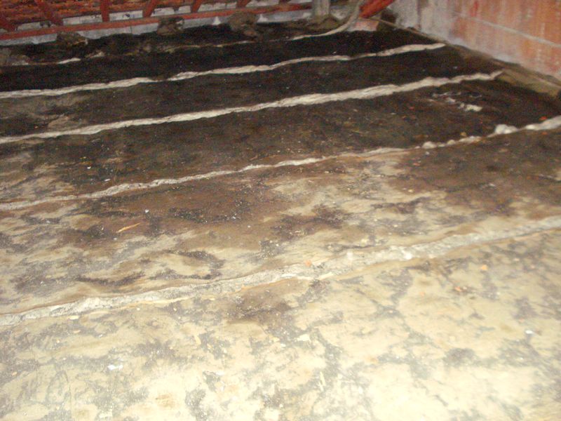 sottotetto infiltrazioni 19.10.24 lato interno sopra cucina  DSC00363_2.JPG