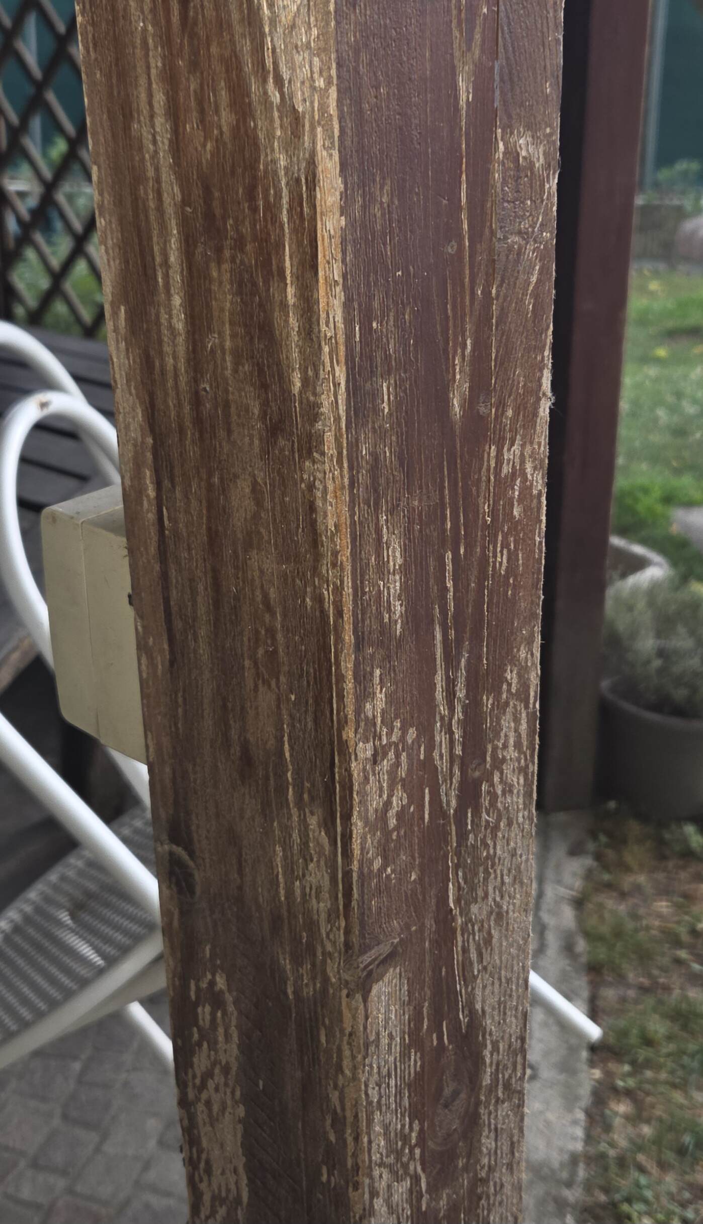 20250705_122844 (1).jpg