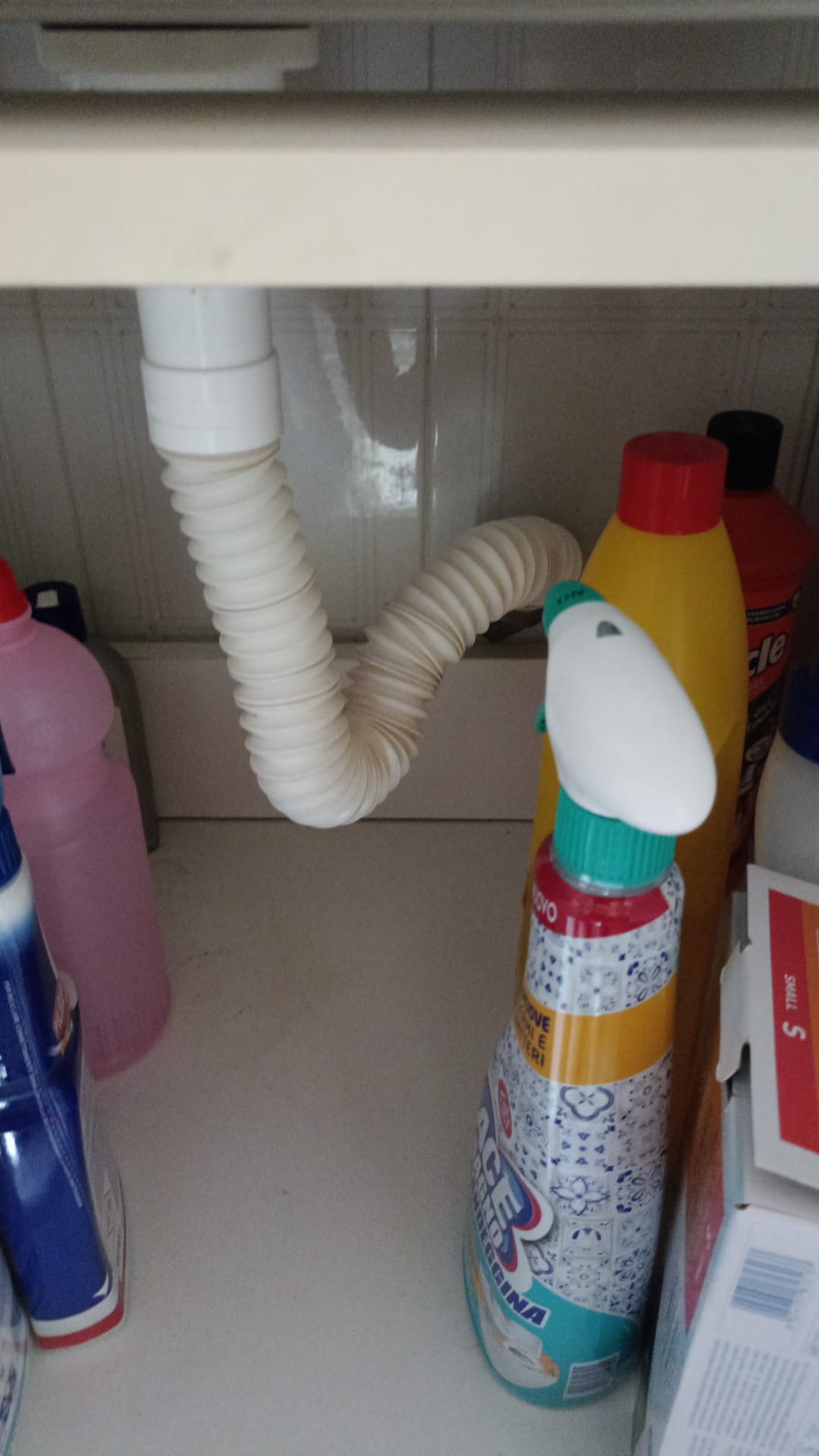 Immagine WhatsApp 2025-08-31 ore 10.48.07_1654b2b6.jpg