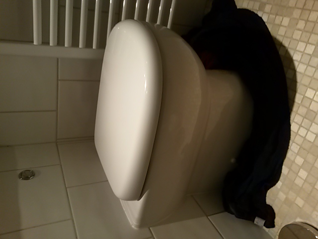 20150904_201231.jpg
